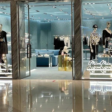 Bejgħ bl-ingrossa MDF u Handbags tal-Ħġieġ tal-Kabinett tal-Ħġieġ